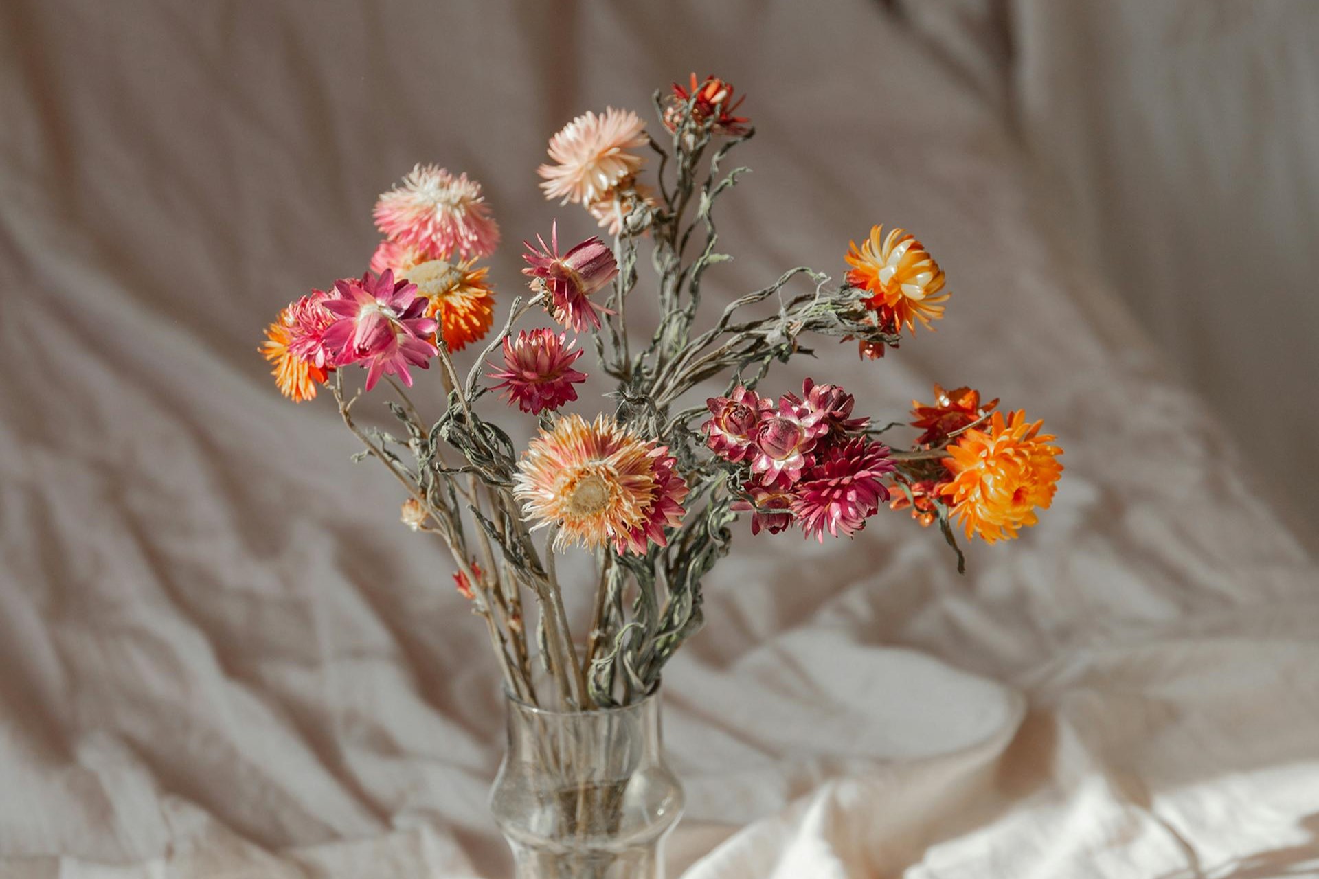 vertrockener Blumenstrauß in Vase aus weißem Stoff