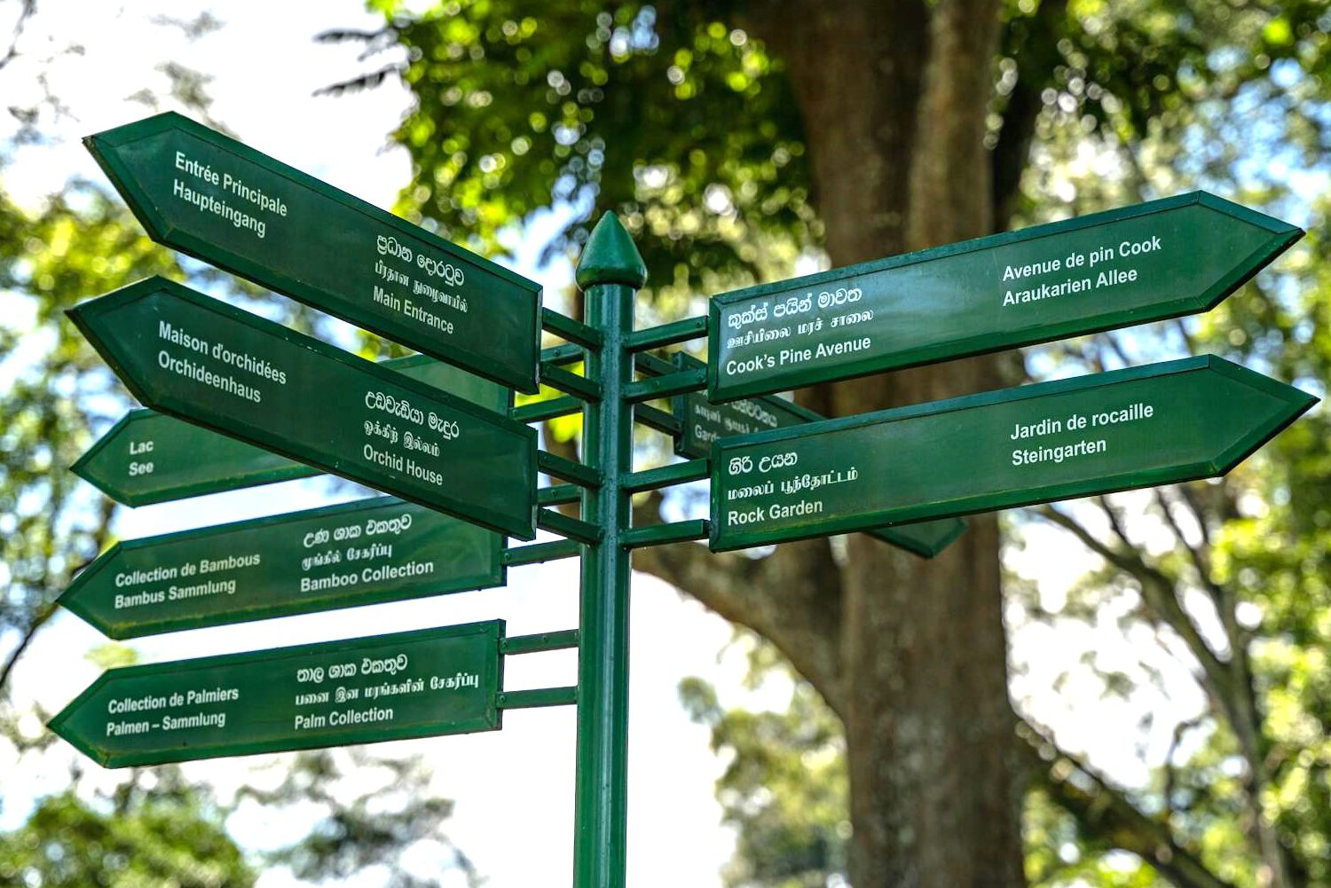grüne Hinweisschilder in Botanischem Garten, zeigen verschiedene Ziele in allen vier Himmelsrichtungen