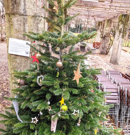 Der Trauer Raum geben: Baum zum Andenken an Sternenkinder in München